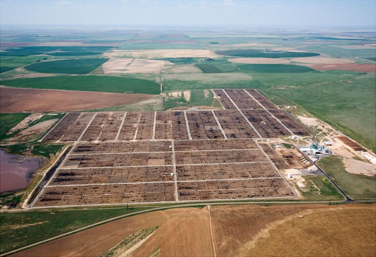 coronado-feeders-five-rivers-cattle-feeding-llc