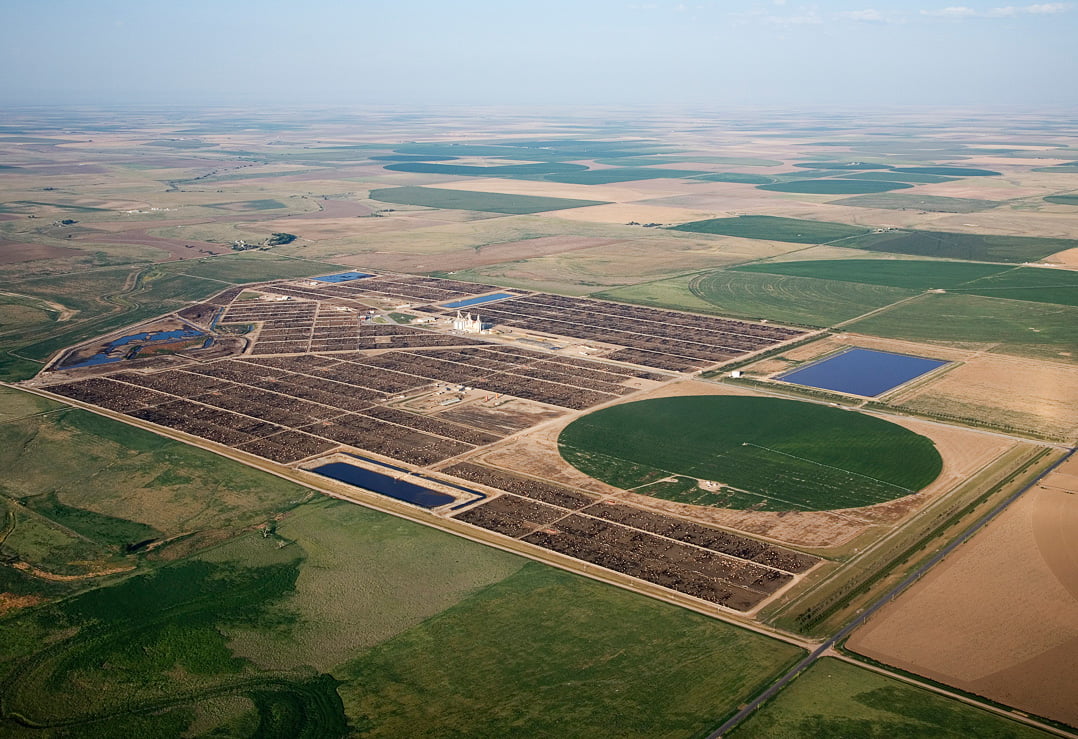 Grant County Feeders Five Rivers Cattle Feeding, LLC